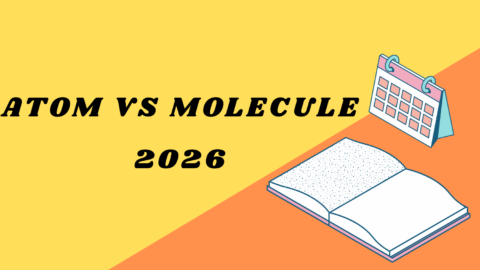 Atom vs Molecule