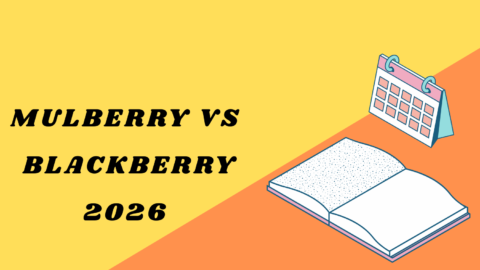 Mulberry vs Blackberry