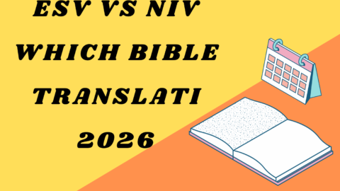 ESV vs NIV Which Bible Translation