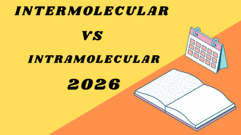 Intermolecular vs Intramolecular