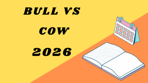 Bull vs Cow