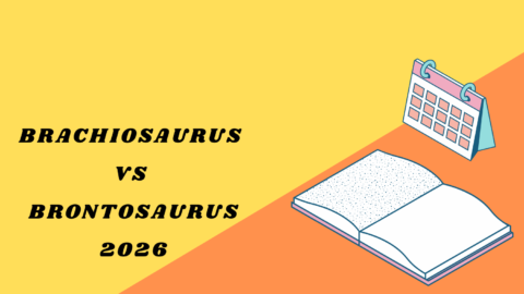 Brachiosaurus vs Brontosaurus