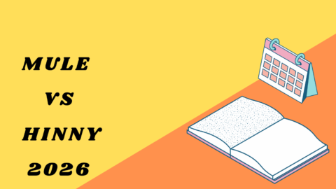 Mule vs Hinny