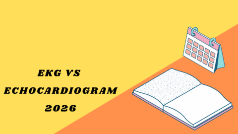 EKG vs Echocardiogram