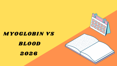Myoglobin vs Blood
