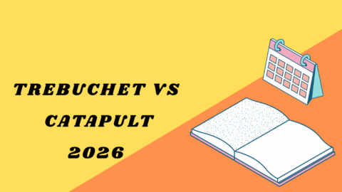 Trebuchet vs Catapult