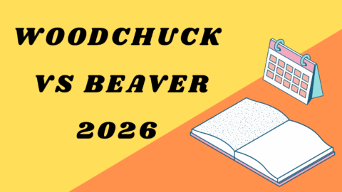 Woodchuck vs Beaver